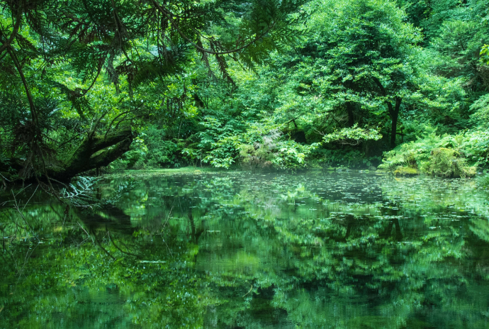 Global Quality 世界規模の視野と行動力で、明日のクルマ社会を支える「グローバルクオリティー」