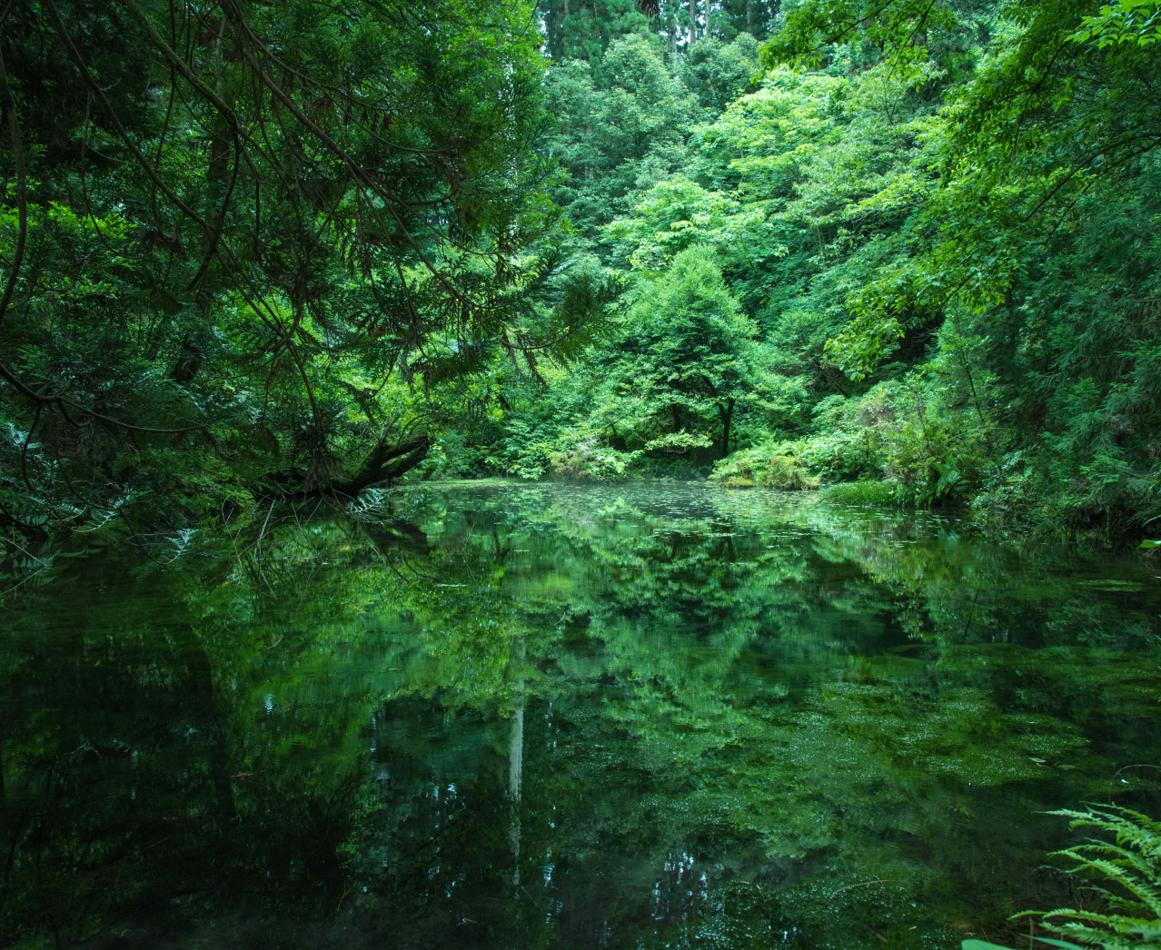 Global Quality 世界規模の視野と行動力で、明日のクルマ社会を支える「グローバルクオリティー」