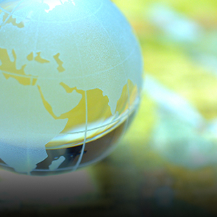 Domestic and Overseas Offices 国内・海外拠点