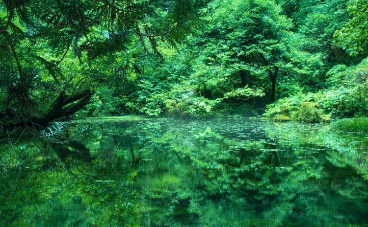 光精工におけるサスティナビリティへの取り組み